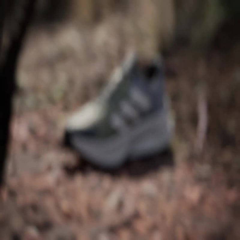 adidas Terrex Soulstride Flow IG8923 02