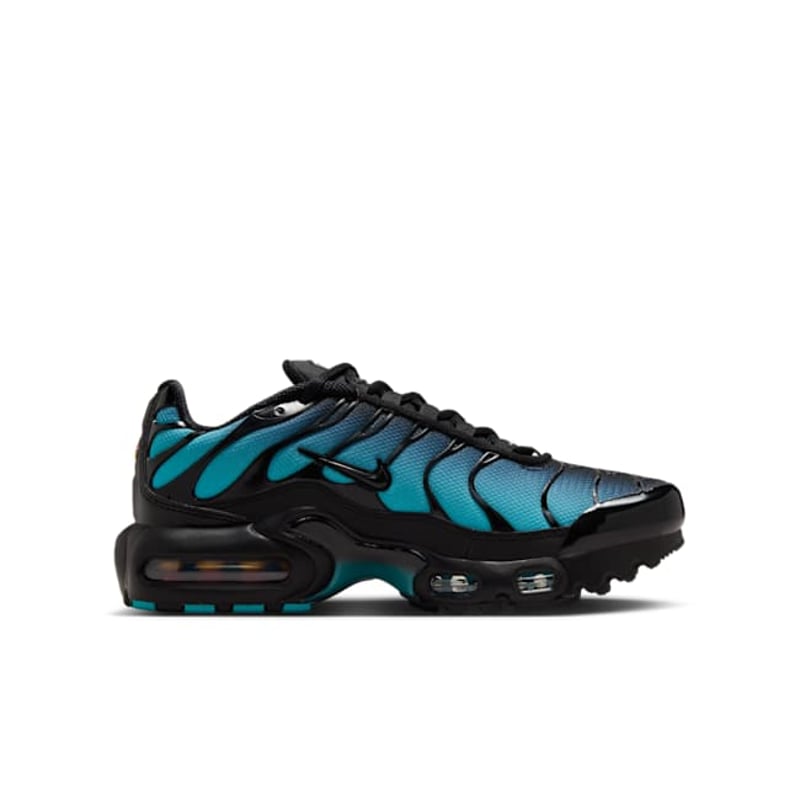 Nike Air Max Plus IF6169-001 03