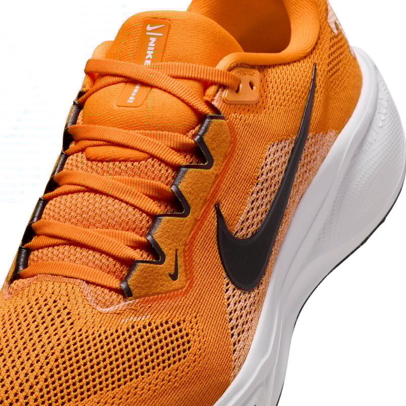 Nike Pegasus 41 IB3253-800 07