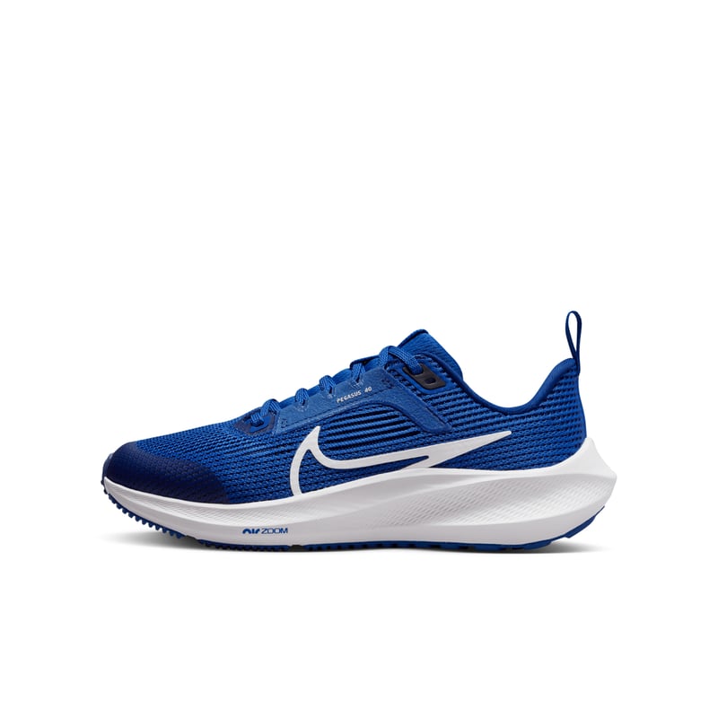 Nike Air Zoom Pegasus 40