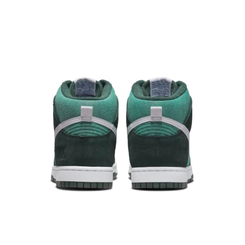 Nike Dunk High Retro SE DJ6152-300 06