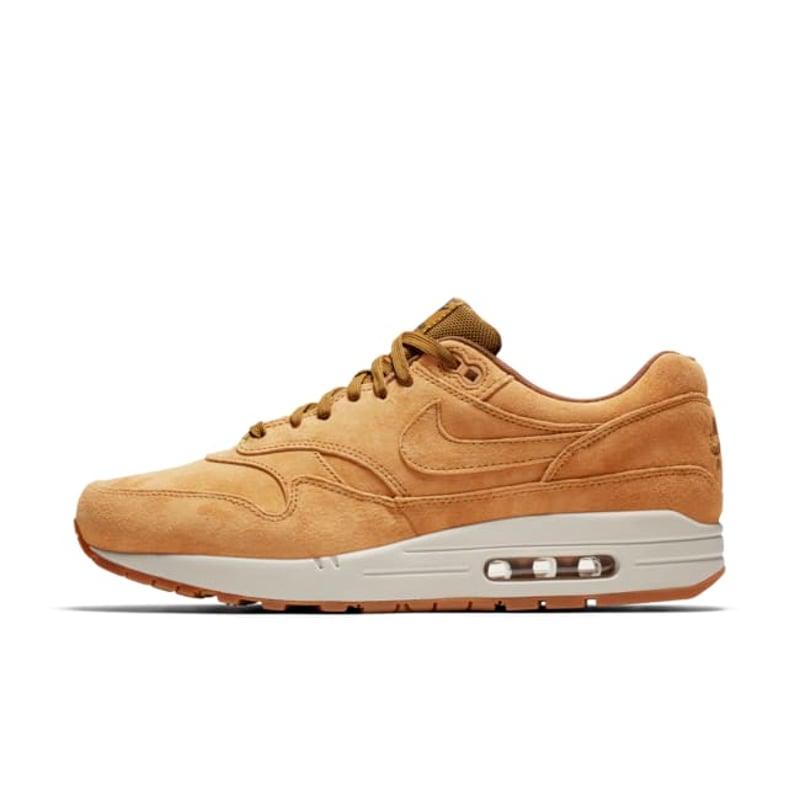 Nike Air Max 1 Premium 875844-701 01