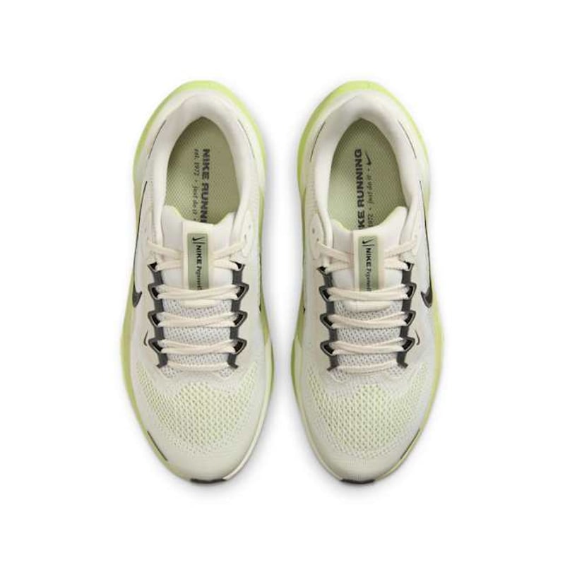 Nike Pegasus 41 FN5041-106 04