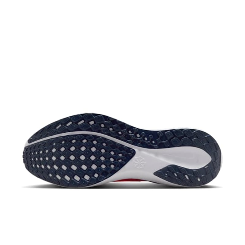 Nike Pegasus 41 FZ5151-800 02