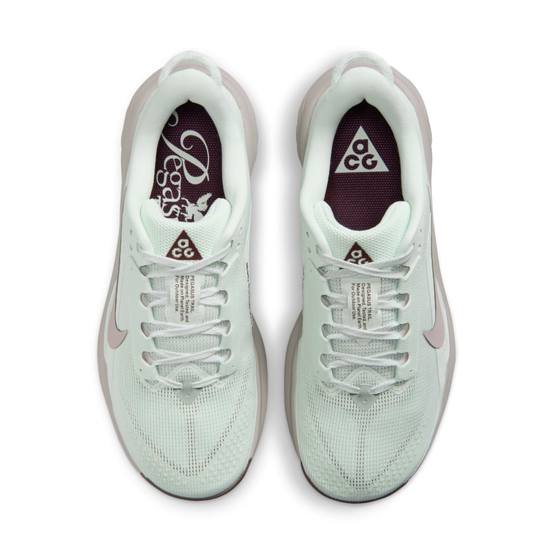 Nike ACG Pegasus HV8121-302 04