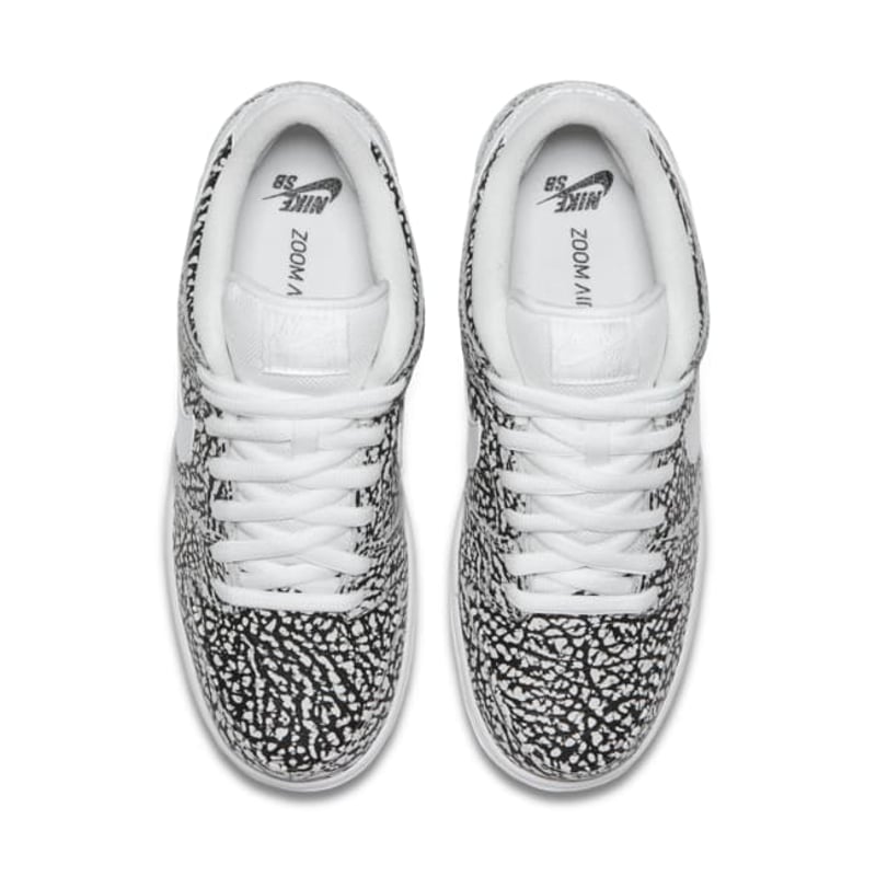 Nike SB Dunk Low 313170-110 04
