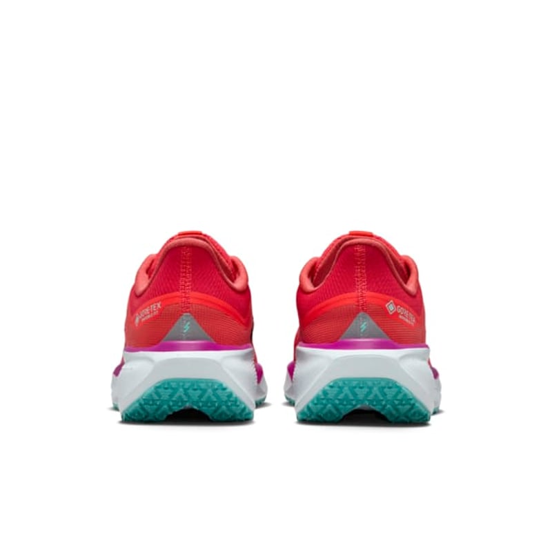 Nike Pegasus 41 GORE-TEX HM8870-600 06
