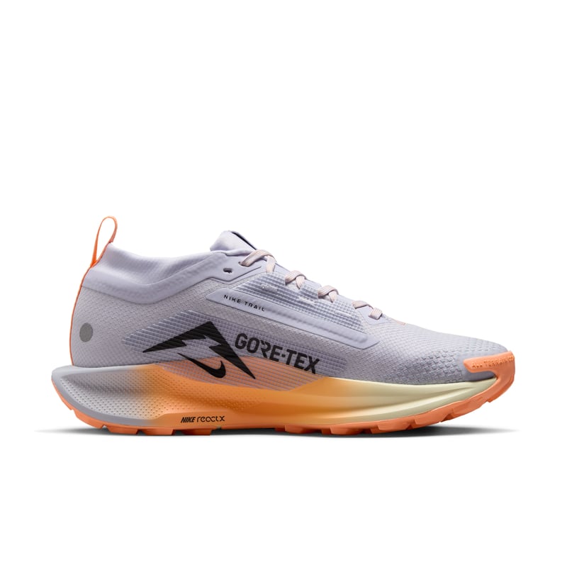 Nike Pegasus Trail 5 GORE-TEX FQ0912-011 03