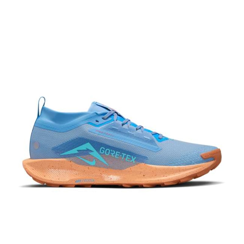 Nike Pegasus Trail 5 GORE-TEX FQ0908-400 03