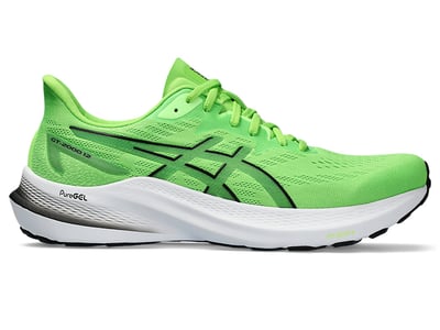 ASICS GT-2000 12 1011B691-300