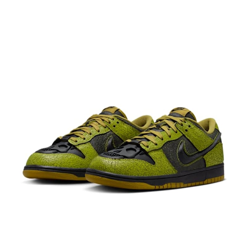 Nike Dunk Low Retro HV6103-300 05