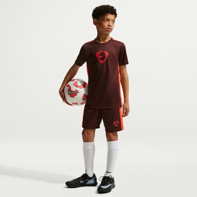 Nike Academy+ Dri-FIT Shorts "Mystic Dates & Bright Crimson" | Kids | Football | 00 | SPORTSHOWROOM