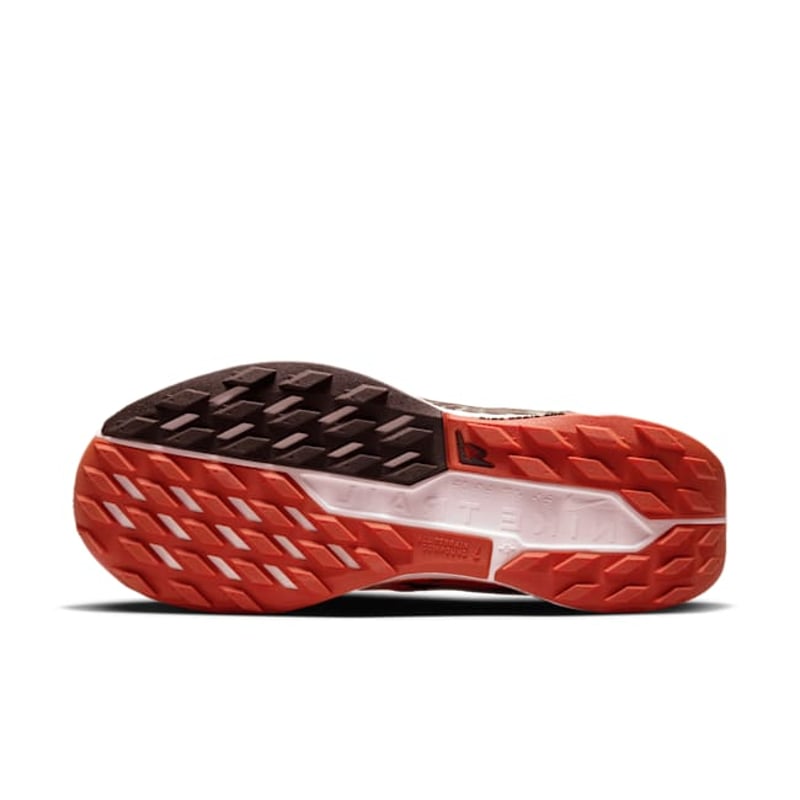 Nike Pegasus Trail 5 DV3865-201 02