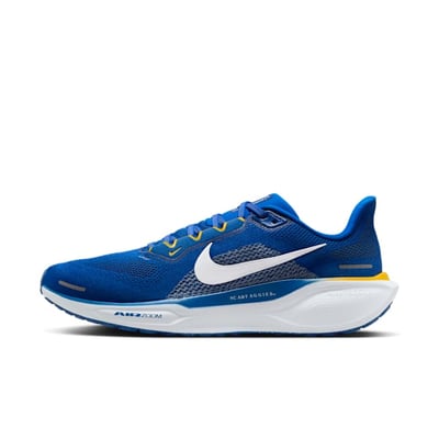 Nike Pegasus 41 FZ5132-400