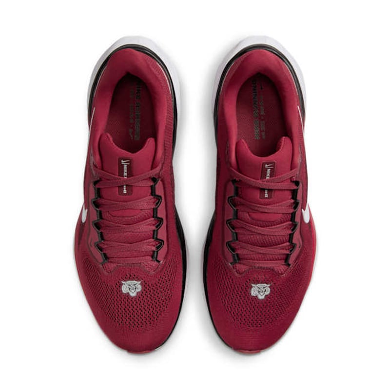 Nike Pegasus 41 FZ5130-600 04