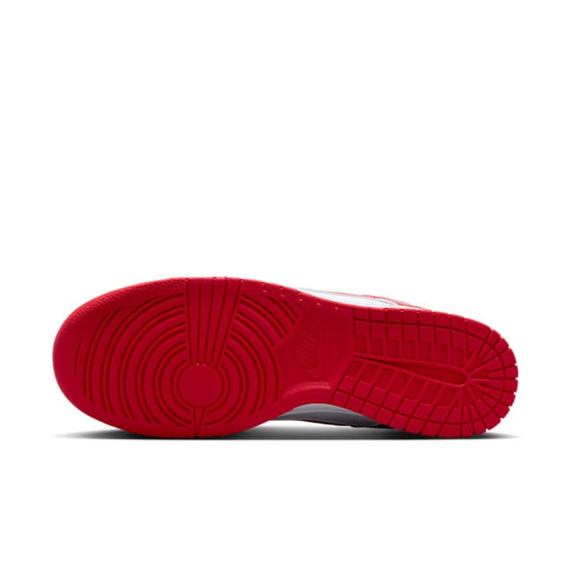 Nike Dunk Low HF5441-104 02