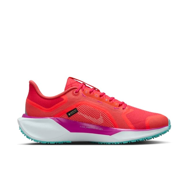 Nike Pegasus 41 GORE-TEX HM8870-600 03