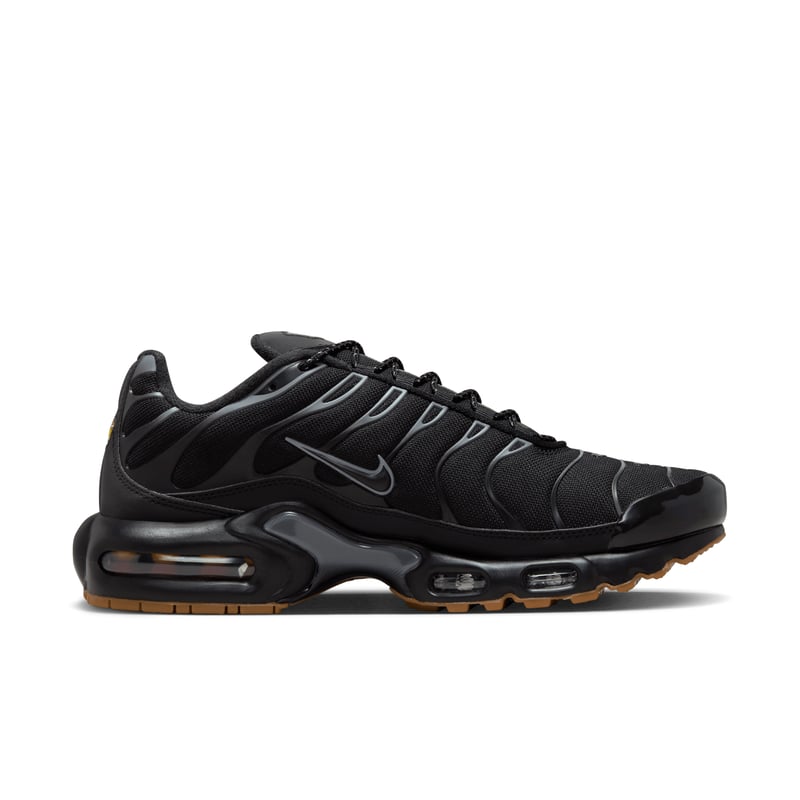 Nike Air Max Plus FV0385-001 03