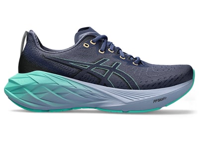 ASICS Novablast 4 1012B510-401