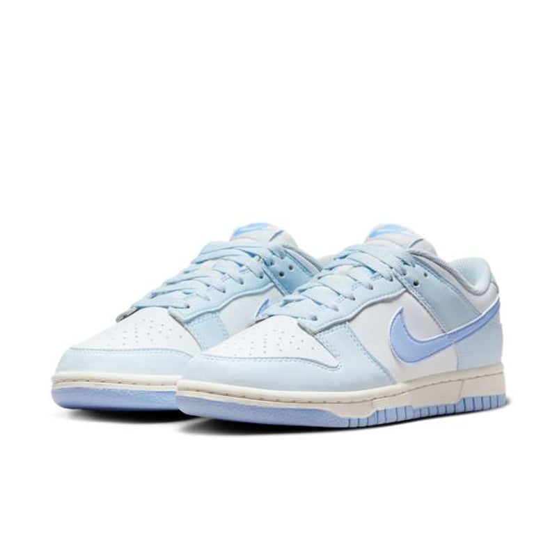 Nike Dunk Low DD1873-400 05