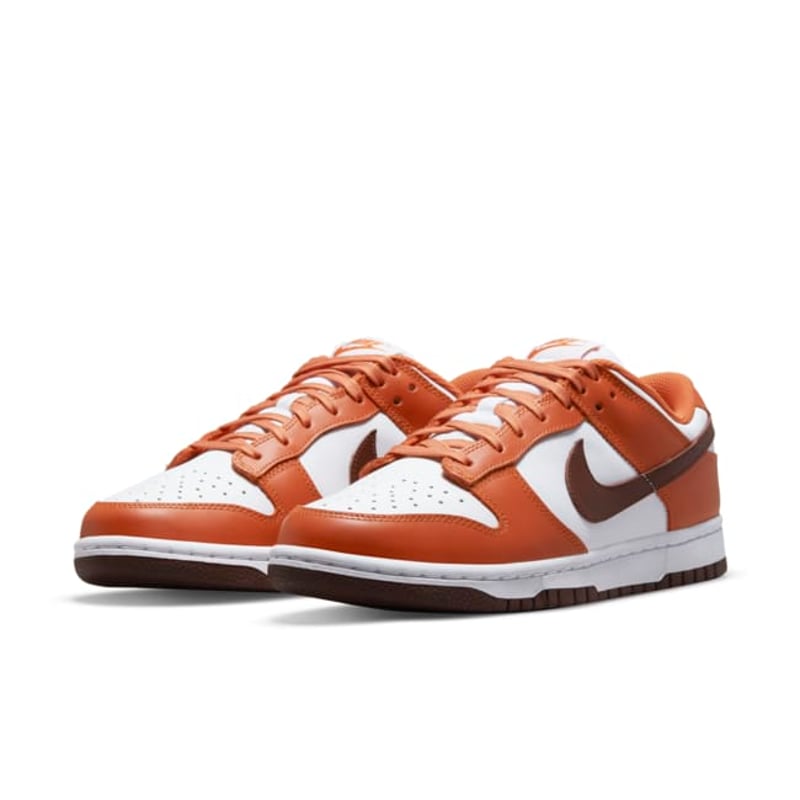 Nike Dunk Low DQ4697-800 05