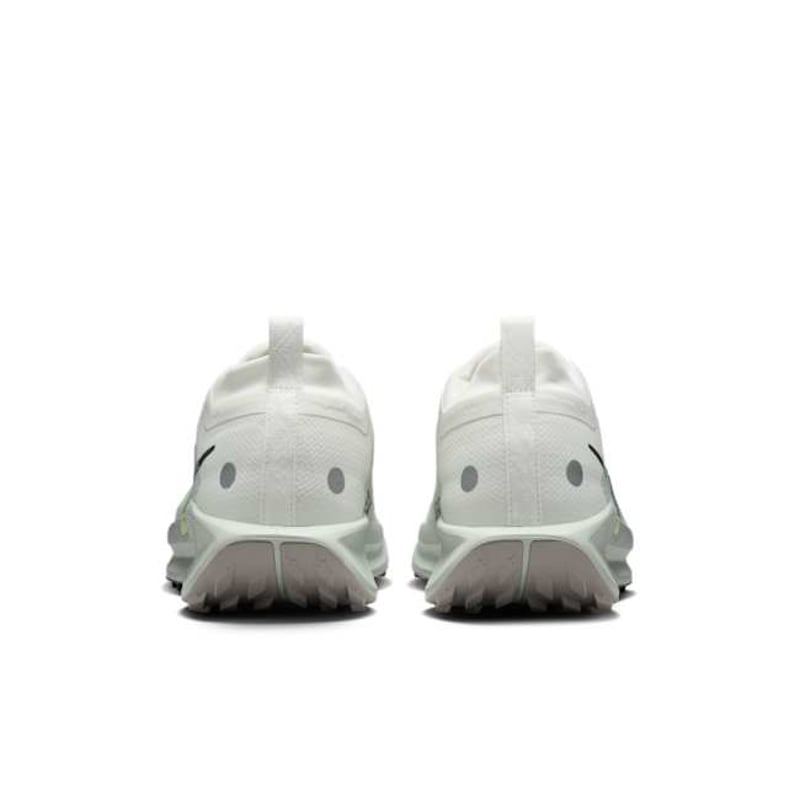 Nike Pegasus Trail 5 GORE-TEX FQ0908-102 06