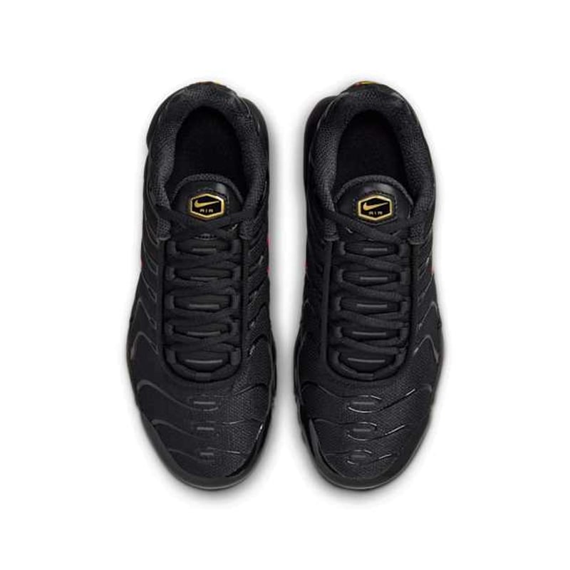 Nike Air Max Plus HV2891-001 04