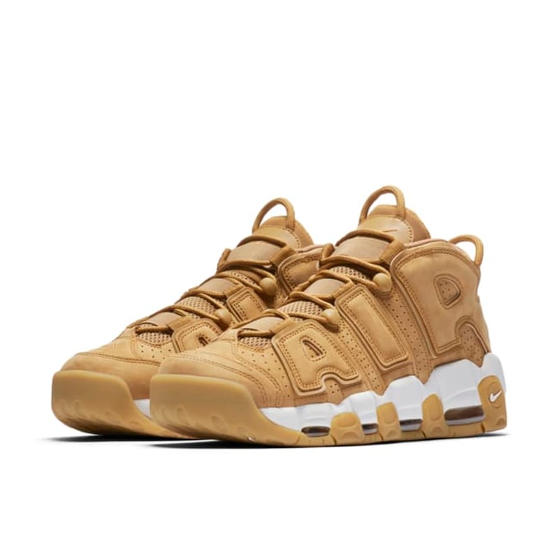 Nike Air More Uptempo PRM AA4060-200 05
