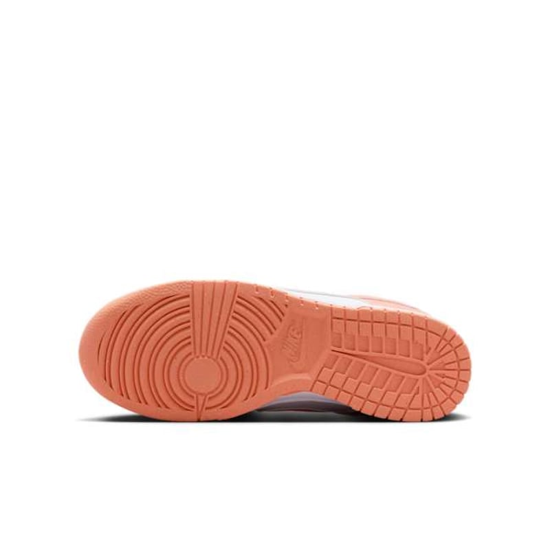 Nike Dunk Low DD1873-109 02
