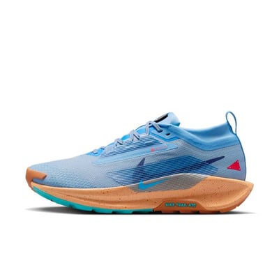 Nike Pegasus Trail 5 GORE-TEX FQ0908-400