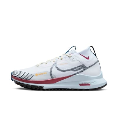 Nike Pegasus Trail 4 GORE-TEX DJ7929-102