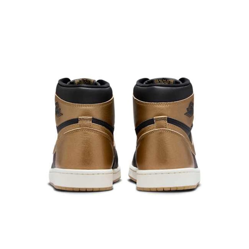 Jordan 1 Retro High OG DZ5485-071 06