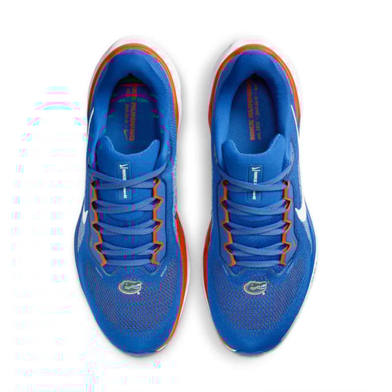 Nike Pegasus 41 FZ5113-400 04