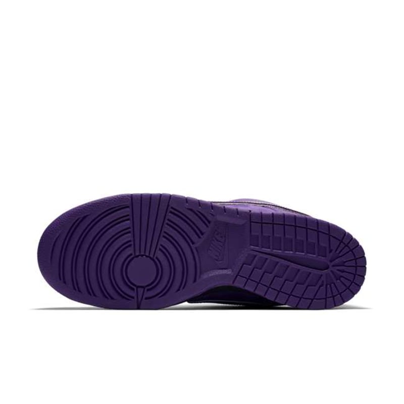 Nike SB Dunk Low x Concepts BV1310-555 02