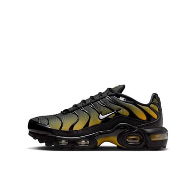Nike Air Max Plus IB2870-001