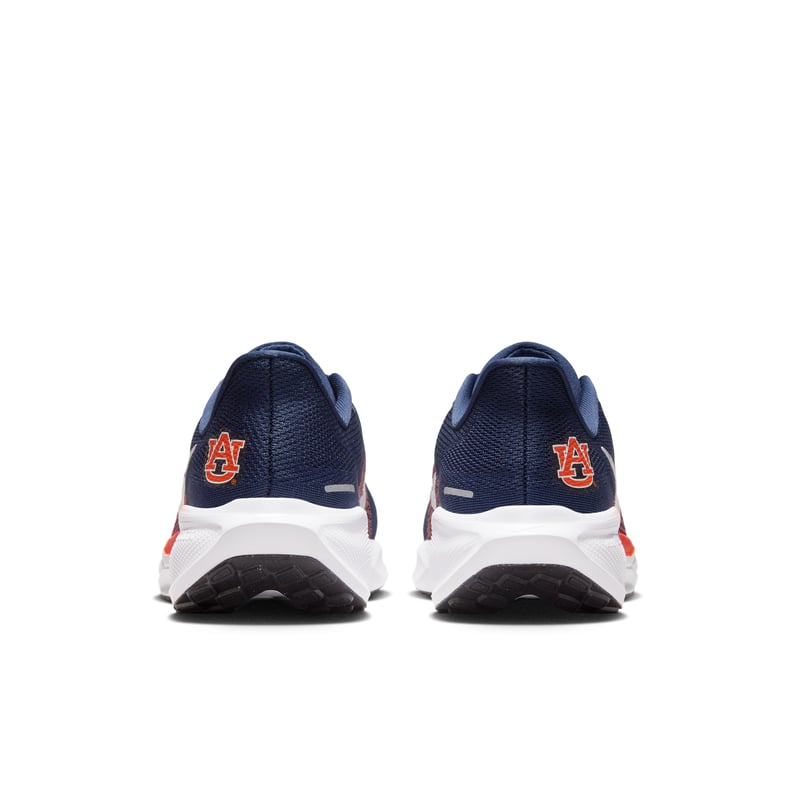 Nike Pegasus 41 IB3252-400 06
