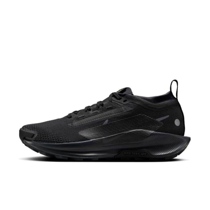 Nike Pegasus Trail 5 GORE-TEX FQ0912-002 01