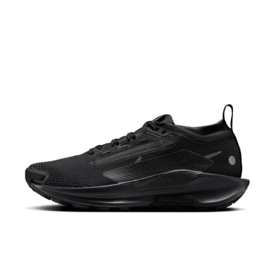 Nike Pegasus Trail 5 GORE-TEX FQ0912-002