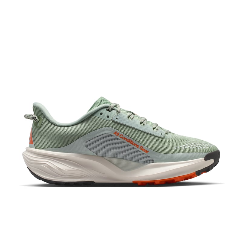 Nike ACG Pegasus HV8121-310 04