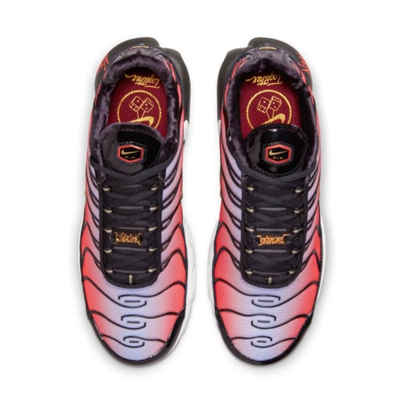 Nike Air Max Plus DO6115-500 04