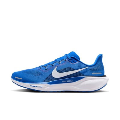 Nike Pegasus 41 FZ5111-400