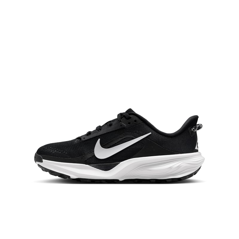 Nike ACG Pegasus IH2305-001 01