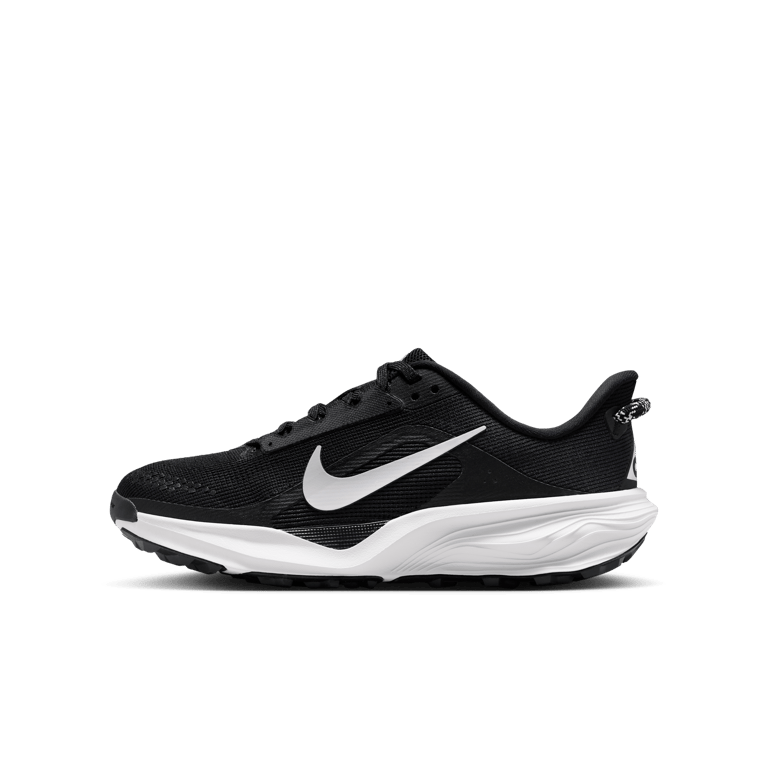 Nike ACG Pegasus