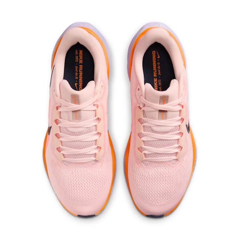 Nike Pegasus 41 FD2723-603 04