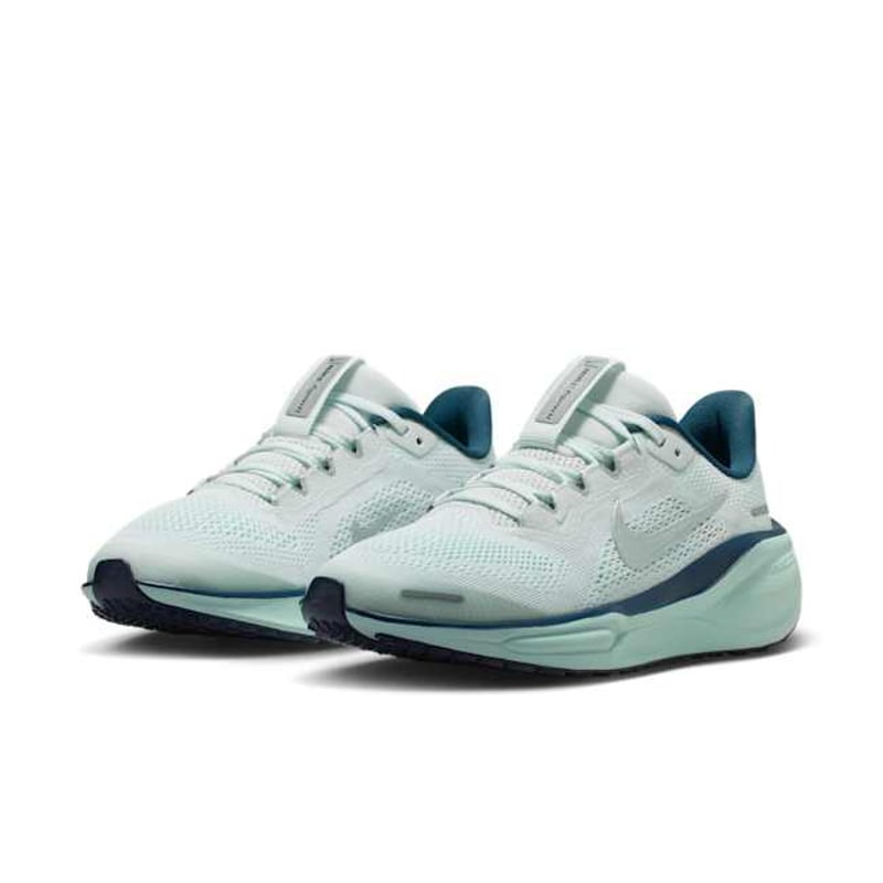 Nike Pegasus 41 FN5041-404 05