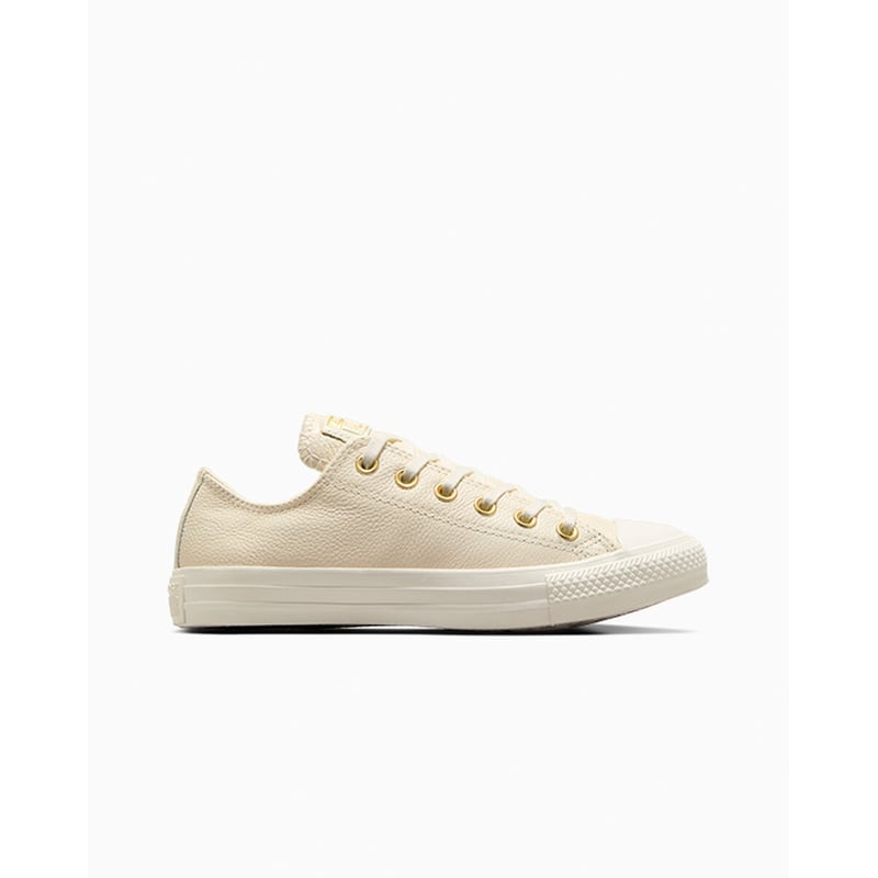 Converse Chuck Taylor All Star Mono Leather A13814C 01
