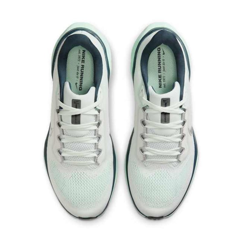 Nike Pegasus 41 FD2723-405 04