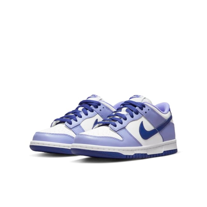 Nike Dunk Low DZ4456-100 05