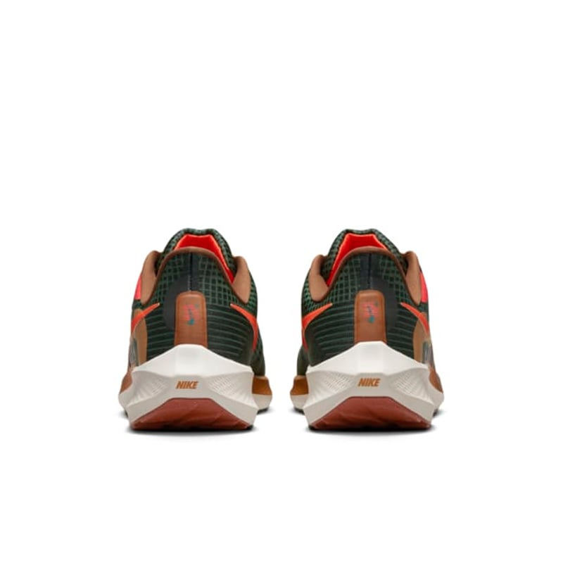Nike Air Zoom Pegasus 39 A.I.R. Hola Lou DO9500-300 06