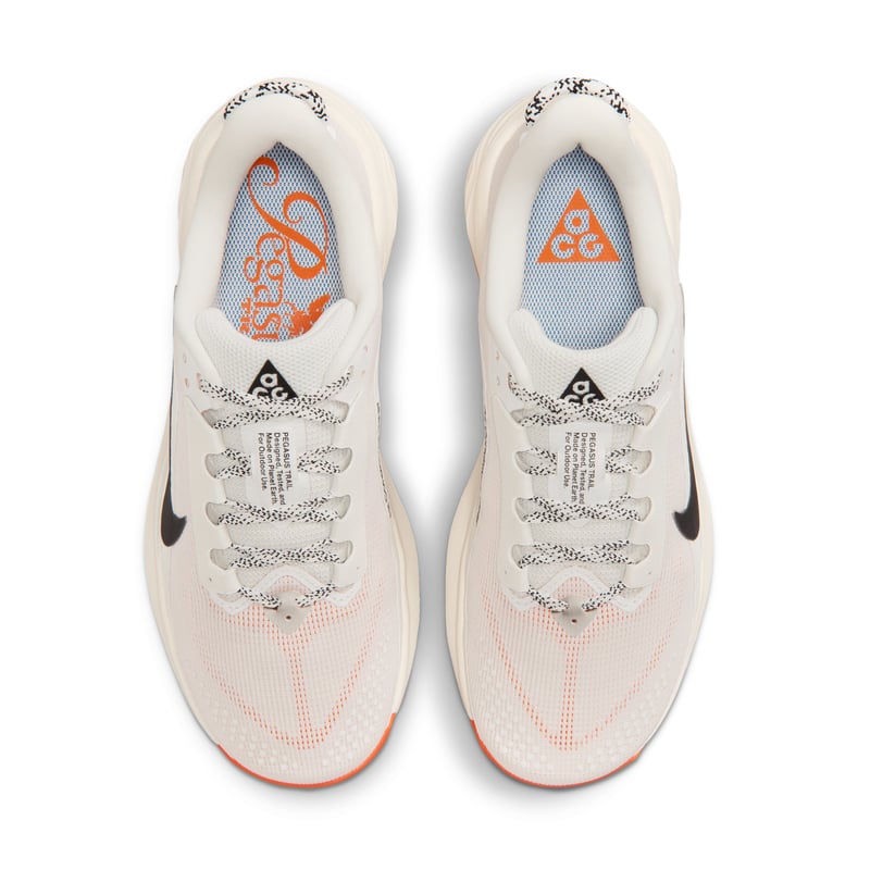 Nike ACG Pegasus HV8121-103 04